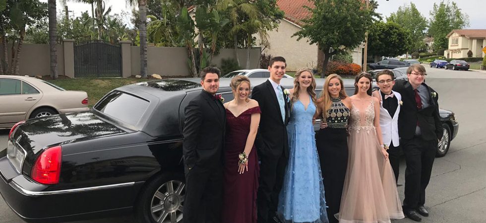 img 2 0004 IMG 20190529 WA0009 980x450 1