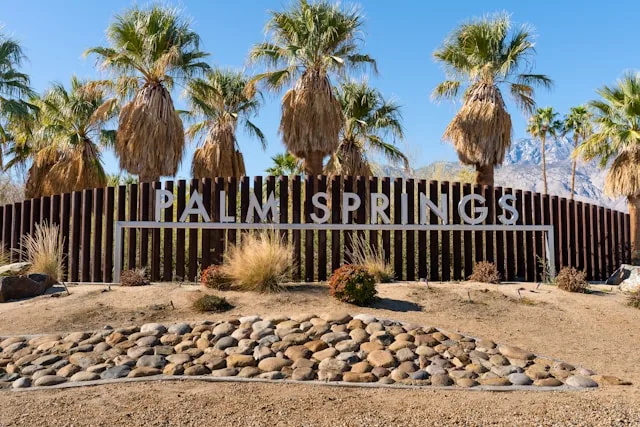 Palm Springs to LAX: Skip the Desert Heat, Arrive in Style 1 Palm Springs